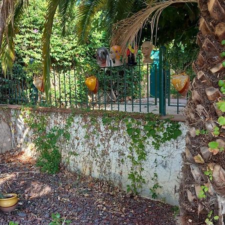 Appartement & Spa - Panoramic Olivars Pau 외부 사진